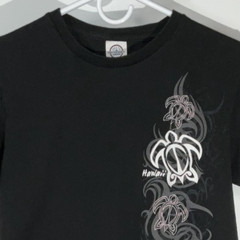 Hawaii Short Sleeve T-Shirt Men’s Small Black