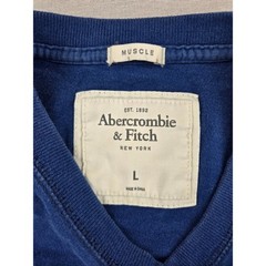 Abercrombie & Fitch Mens Muscle Fit V-Neck T-Shirt Navy Blue Crest Logo Large