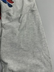 Vintage Hanes Shirt Mens Medium Gray Long Sleeve Wolf Biker Rally 2002 Tee