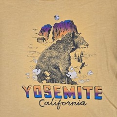 Homage National Park T Shirt Lot Of 2 Mens Medium Yosemite Great Smoky USA Made
