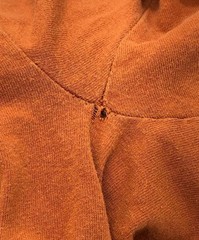 ALSTYLE APPAREL & ACTIVEWEAR Crazy Print T-shirt orange