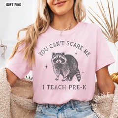You Cant Scare Me I Teach Pre K Shirt Funny Raccoon Teacher Back To School Tee