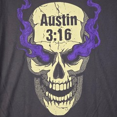 WWE WWF Wrestling Stone Cold Steve Austin Shirt Mens Large GRAY 3:16 Skull NWT B