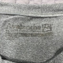 Avalanche Everest T Shirt Men Medium Gray Base Camp Graphic Hiking Big Foot