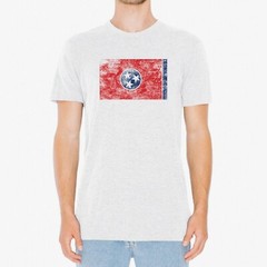 Tennessee Flag State Pride Triblend Mens T-Shirt – Heather White