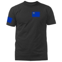 State of Nevada Flag Crest Graphic T-shirt