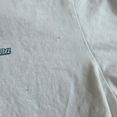 Tommy Bahama Men’s LG Crew Neck Short Sleeve White Cotton Knit Golf Graphic Tee