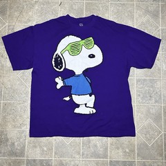 2 Peanuts Snoopy T-Shirt Mens XL Short Sleeve Blue Crew Neck I’ll Do It Tomorrow