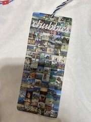 Chubbies T Shirt Mens Medium White America Sail Club Summer Preppy NWT