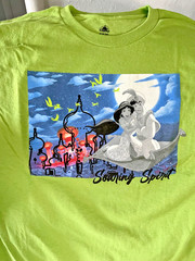 NWT Disney STORE PARKS Aladdin Jasmine Soaring Spirit T-SHIRT TOP ADULT GREEN XL