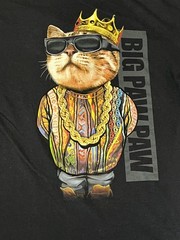 Big Paw Paw Shirt Mens S/XS Big Poppa Cat Hip Hop Rap Parody Graphic Tee Top