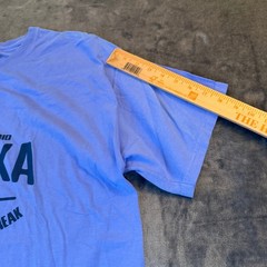 ComfortWash Hanes Alaska Retreat Graphic T-Shirt Blue Mens Large Ring Spun