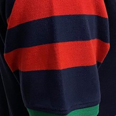 Doddie Weir Lions Polo