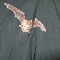 Vintage 90s Single Stitch Wild Cotton Bat Species Double Sided Graphic Shirt XL