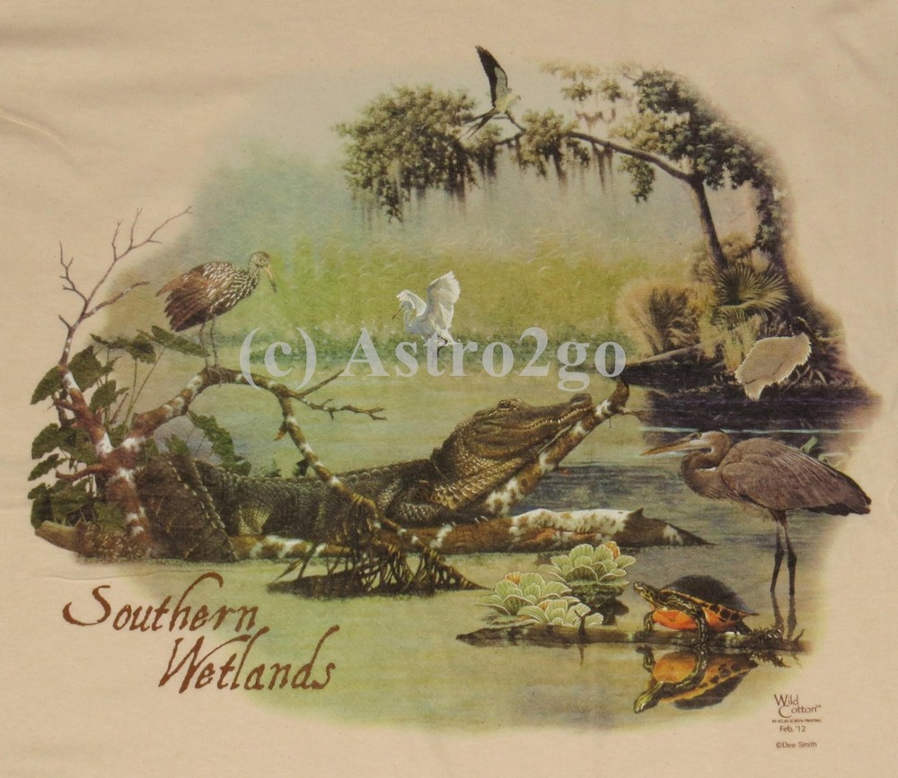 SOUTHERN WETLANDS-Everglades Swamps Animals Science Nature Ecosystem T shirt