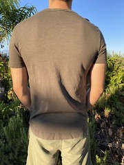 NWT Buck Mason Bristol Venice Wash Pima Cotton Curved Hem Tee T shirt