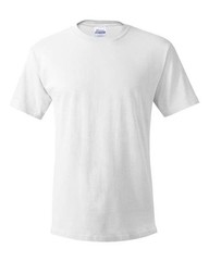 Hanes 5280 Unisex Essential- T-Shirt