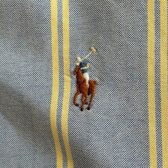 Ralph Lauren BLAKE Striped Oversized BD Shirt Short Sleeve Japan
