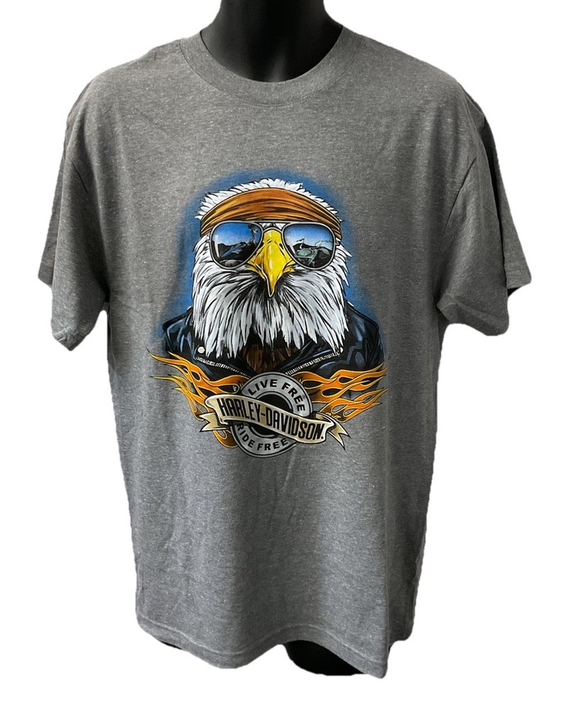 Harley Davidson Men’s Brother Eagle Short Sleeve T-Shirt Gray 3002854-MDGH