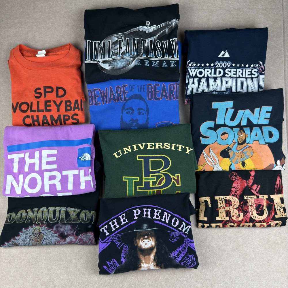 Vintage Modern Graphic T-Shirt Men’s Bundle 10pc USA Single Stitch Anime Sports