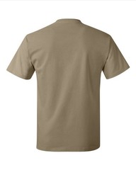 Hanes 5250 4XL Authentic Short Sleeve Men’s Cotton T-Shirt Pebble Pit to Pit 29″