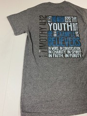 Belmont MEns Shirt Small Gray mountain graphic youth