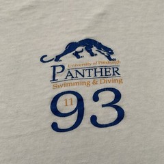 Vintage 90s Pittsburgh Panthers Swimming And Diving Shirt Size XL University