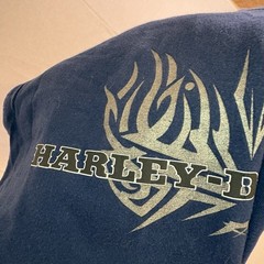 Harley Davidson Y2K Mens Sleeveless Blue Shirt XL White Plains NY Tribal Vintage