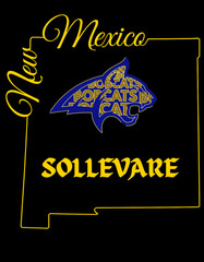 Sollevare Bobcat Graphic Tee Black Yellow Bella and Canvas T-Shirt Youth RCA