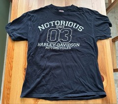 Harley Davidson T Shirt Men’s L Large Black Fairbanks Alaska Motorcycles