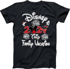Disney Family Vacation 2024 fire works, Mickey, Minnie, Family Trip, Squad