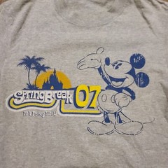 Walt Disney World T-Shirt Men’s Small Gray Cotton Springer Break 07 Short Sleeve
