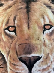 Rare Vintage 90s Liquid Blue No Pupil Lion T Shirt Single Stich AOP NWT