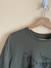 Arc’teryx Archaeopteryx T-Shirt Men Large Olive Green Logo Graphic Tee Gorpcore