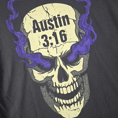 WWE WWF Wrestling Stone Cold Steve Austin Shirt Mens Large GRAY 3:16 Skull NWT B