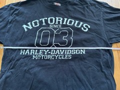 Harley Davidson T Shirt Men’s L Large Black Fairbanks Alaska Motorcycles