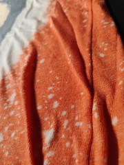 American Horror Story Shirt – Biden – Tultex 241 (Large) – Orange
