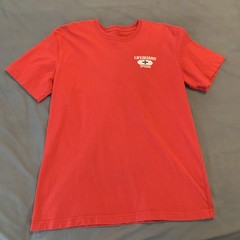 Speedo Shirt Mens Medium Red Lifeguard Graphic Tee T-Shirt Tagless Beach