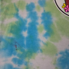 Buc-ee’s Lei’d Back Tie Dye Shirt Adult Medium Green Blue Short Sleeve (READ)