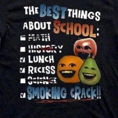 The best things abouts school tshirt, vintage funny tshirt