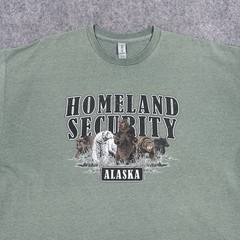 Gildan Homeland Security Alaska Graphic T-Shirt Men’s Size (See Photos) Green