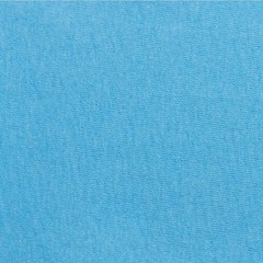 Hanes 5250 4XL 5XL Authentic Short Sleeve Men’s Cotton T-Shirt Aquatic Blue