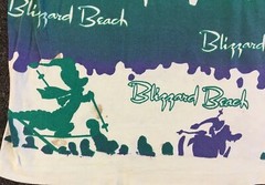 Vtg 90s Disney Blizzard Beach Faded Distress AOP Shirt L Surf Vaporwave Grunge