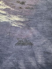 Vintage The Mountain Dolphin Ocean Tie Dye Graphic T Shirt XL USA 12