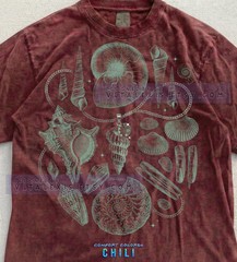Sea Shells Ocean Life Nautical Beach Coastal Comfort Tee