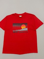 Vintage 80s Cal Cru New Mexico Graphic T Shirt Red Sunset Mountain Large