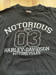 Harley Davidson T Shirt Men’s L Large Black Fairbanks Alaska Motorcycles