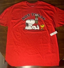 Peanuts Snoopy & Woodstock “Not Today” T-Shirt Men’s Or Unisex Size XL Red Gift