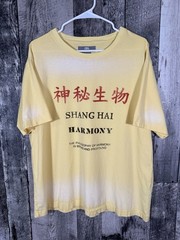 Zara Man Shanghai Edition Yellow T-shirt Size XL Harmony