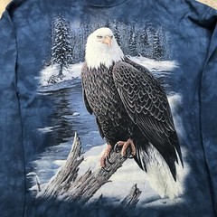 The Mountain Long Sleeve Shirt XL Eagle Winter Scene Blue Graphic Tie Dye Rare